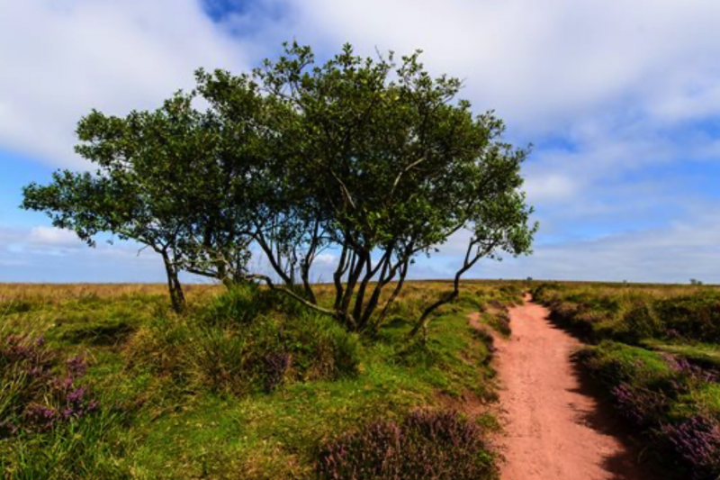 Somerset Long Weekend